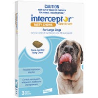 Interceptor Large Dogs 3pk