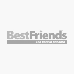 bestfriendspets.com.au | FuzzYard Candy Hearts Dog Harness X Small