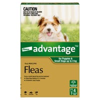 Advantage Flea Treatment 